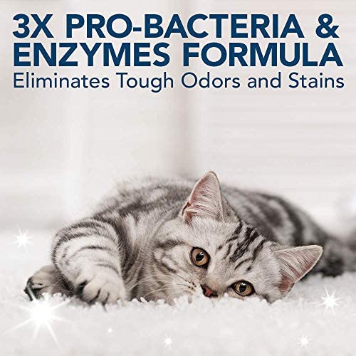 Simple Solution Extreme Cat Stain and Odour Remover | Enzymatic Cleaner with 3X Pro-Bacteria Cleaning Power - 500ml - Image 3