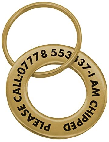 Personalised Engraved Pet Disc Dog ID Tag Brass Washer Tags with Free Engraving (20mm Single) - Image 2