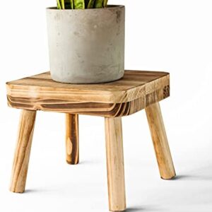 Eden Creations Wooden Indoor Plant Stand - Elevate your plant pots to new heights on this small table - This Plant Table is the ideal bedroom or living room accessory for indoor and house plants
