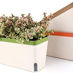 T4U Self Watering Planter Pot Rectangle 27CM Set of 3, Plastic Plant Pot with Visual Water Level Window Indoor Decorative Garden Flower Bonsai Pot for Aloe Herb Orchid and Succulent Plants