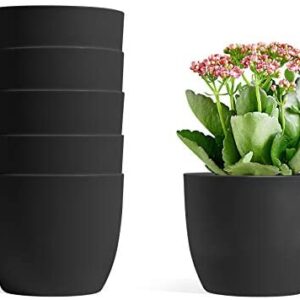 T4U 12CM Self Watering Planters Plastic Black Set of 6, Modern Round Flower Pot Indoor Nursery Bonsai Plant Pot for Garden House Plants, Aloe, Herbs and More