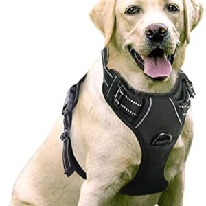 rabbitgoo No-Pull Dog Harness Padded Adjustable Pet Vest Harness with Handle Front Clip Harness for Large Dogs Training or Walking, Durable and No Choking-Black