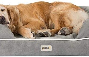SCM Orthopedic Dog Bed Lounge Sofa - 100% Suede Removable Cover - 10cm Mattress Memory Foam Premium Prestige Edition - Ultimate Dog Bed for Large Dogs