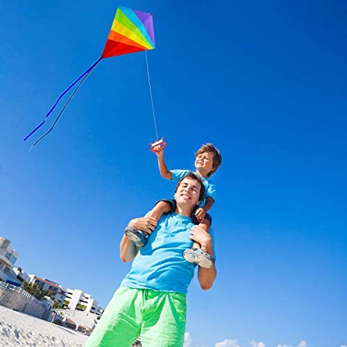 Sun Kites Diamond Kite for Children and Adults - Bright Rainbow Colours - Great Outdoor Toy for Beginners - Very Easy to Fly - Makes a Great Gift - Image 5