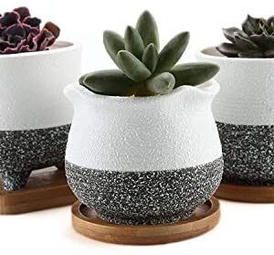 T4U 9CM Succulent Plant Pot with Bamboo Tray Set of 3, Korean Style Cactus Pot Small Bonsai Planter Pot Indoor Home Garden Decoration for Succulent,Cactus,Herb,Aloe and More