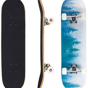 Seasonland Skateboard 7 Layers Decks 31"x8" Pro Complete Skate Board Maple Wood Longboards for Teens Adults Beginners Girls Boys Kids