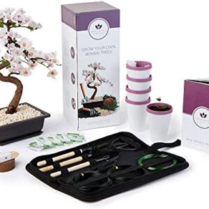 Bonsai Tree Kit with Bonsai Tool Kit - Grow Your own Kits Bonsai Tree Indoor Plant with a Variety of 5 Bonsai Trees Seeds Included and All of The Bonsai Kit Tools You Need (Large Bonsai Kit)
