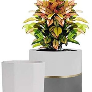 La Jolíe Muse White Ceramic Flower Pot Garden Planters 16.5 CM Pack 2 Indoor, Plant Containers with Gold and Grey Detailing