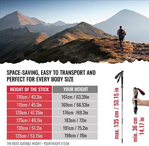 ATACAMA 2 Lightweight Aluminium and Carbon Hiking Stick with Cork Handle - Foldable Collapsible Trekking Poles Pole - Nordic Walking Poles for Hiking - Walking Sticks For Hiking - Walking Poles Women - Image 4