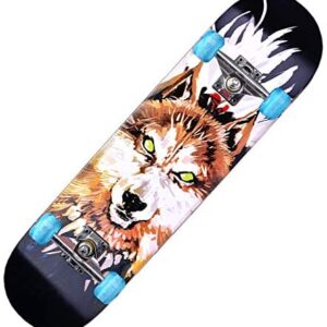 Skateboards Pro 31" x 8" Double Kick Deck Complete Skateboards for Beginners Girls Boys Adults Teens, 7 Layer Canadian Maple Cruiser Trick Wood Skateboard