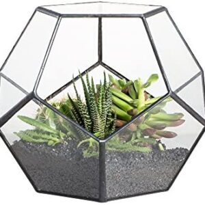 NCYP 15cm Pentagon Glass Geometric Terrarium Planter, Handmade Garden Tabletop Display Flower Pot for Succulent Cacti Fern Moss Air Plants, Indoor Home Centerpiece (No Plants Included)
