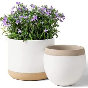 La Jolíe Muse White Ceramic Flower Plant Pots - Indoor Planters, Plant Containers with Beige and Cracked Detailing(16.5cm+12.5cm，pack 2)