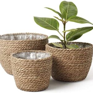 La Jolíe Muse Seagrass Planter Basket Indoor, Flower Pots Cover, Plant Containers, Natural(3-Pack)