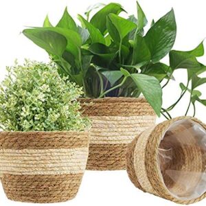 KAHEIGN 3Pcs Seagrass Planter Basket, 3 Size Woven Plant Pot Indoor Outdoor - Flower Pots Cover Storage Basket Plant Containers for Home Decor (Beige)