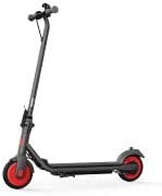 Segway Zing