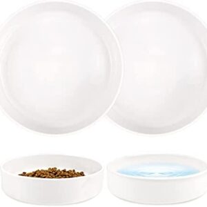 Dynmeow Cat Bowl Ceramic, Cat Food and Water Bowls Set, Non Slip Double Pet Dish for Indoor Cats and Kittens, 350ML × 2Pcs, Clear Pattern