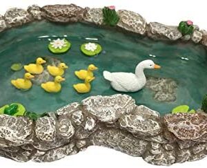 GlitZGlam Duck Pond -Mother and Ducklings! A Miniature Duck Pond for a Miniature Fairy Garden and Miniature Garden Accessories