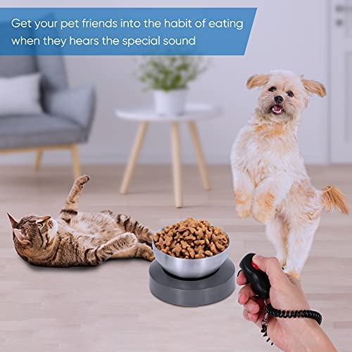 Elevated Dog Cat Bowls: 15° Tilted raised Stainless Steel Cat Bowl, Anti-slip Design of the Base, Suitable for puppy and Kitty (Grey) - Image 7