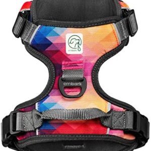 Embark Urban Dog Harness, Easy On and Off with Front and Back Leash Attachments & Control Handle - No Pull Training, Size Adjustable and Non Choke (Medium, Aurora)