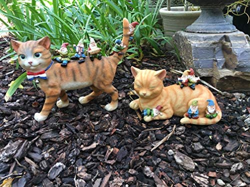 GlitZGlam Cody the Miniature Cat and Gnomes - “A Relaxing Day” - A Fairy Garden Gnome Miniature - Image 6