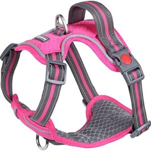 VIVAGLORY Dog Harness for Walking & Training, No Pull Vest Harnesses with Front Hook, XSmall, Pink