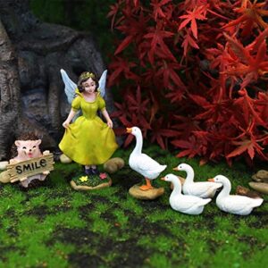 Set Of 6 Fairy Garden Accessories, Fairy Garden Miniatures Includes Fairy, Hedgehog and 4 Ducks Mini Garden Figurine Fairies Decor, Miniature Fairy Garden Accessories for Outdoor or House Decor
