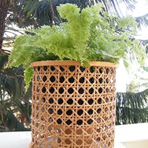 Rattan Planter/Flower Pot Cover,Cane Webbing Plant Cover, Set of 3, 8",5.5",4.5" Height, Hand Weaved rustic Smart Home Garden and Office Decor