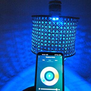 WiFi RGB Smart light, mood lighting Alexa compatible chandelier App Control Colour changing Modern Home living, dining and bed room Handcrafted cane weave ceiling decor