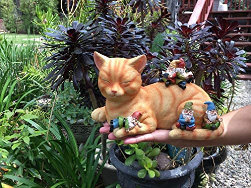 GlitZGlam Cody the Miniature Cat and Gnomes - “A Relaxing Day” - A Fairy Garden Gnome Miniature - Image 5