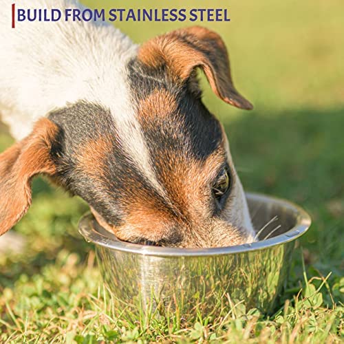 OXKOX Pack of 2 Dog Bowl - Stainless Steel Dishwasher Safe Large 21.5×6.5cm - Bowl for Cats, Dogs, Pups, and Kittens - Ideal for Wet and Dry DOG Food and Water Bowl - Image 5