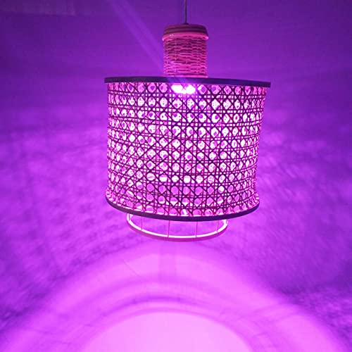 WiFi RGB Smart light, mood lighting Alexa compatible chandelier App Control Colour changing Modern Home living, dining and bed room Handcrafted cane weave ceiling decor - Image 5