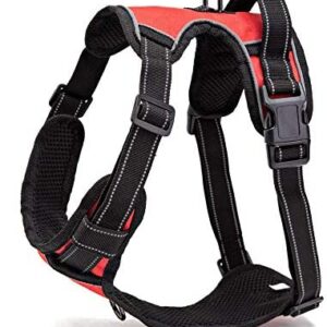 Beshine Adjustable No Pull Dog Harness, Front Clip Puppy Harness with Handle Reflective Breathable Mesh Lightweight Easy Control for Outdoor Walking Training (L, Red)