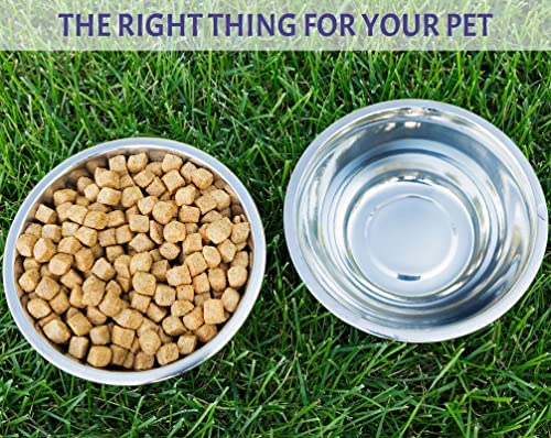 OXKOX Pack of 2 Dog Bowl - Stainless Steel Dishwasher Safe Large 21.5×6.5cm - Bowl for Cats, Dogs, Pups, and Kittens - Ideal for Wet and Dry DOG Food and Water Bowl - Image 6