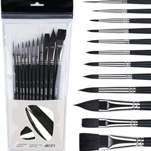 Artify 12 pcs Paint Brush Set - Nylon Painting Brushes for Acrylic, Oil, Watercolor and Gouache Painting for Kid and Adult, Beginner and Professional, with Round, Angle, Flat, Filbet, Fan Shape, Black