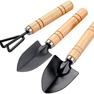 17CM Mini Garden Tools Set, 3 Pieces Garden Tools with Small Shovel, Gardening Rake and Spade, Ideal Gardening Tools for Seedlings, Bonsai, Succulents, Herbs, Terrariums and Planting