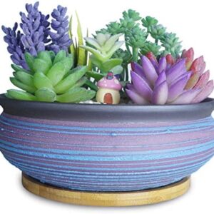 19.5 CM Large Round Succulent Plant Pots with Drainage Tray Ceramic Bonsai Pots for Indoor/Outdoor Plants Garden Decorative Cactus Flower Plant Container Bowl