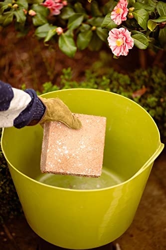 Coco & Coir Peat Free Seed Compost With Perlite - Coco Grow+ 75L - Image 5