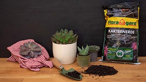 Floragard Cactus Soil, 5 litres – Special Soil for Cacti and Succulents, with Sand - Image 4