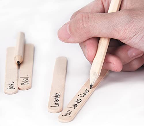 Grow Your Own Indoor Garden Seed Growing Kit Gardening Set Gardening Indoor Or Outdoor Pots Kids Gardening Set Easy For Novices To Grow 4 Plant Markers Pruner Scissors Trimmer Set Pulp Cup Pencil - Image 5