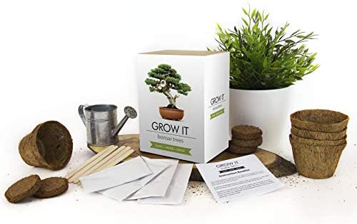 Gift Republic GR200006 : Grow It. Grow Your Own Bonsai Trees, 12.0 cm*12.0 cm*12.0 cm - Image 2