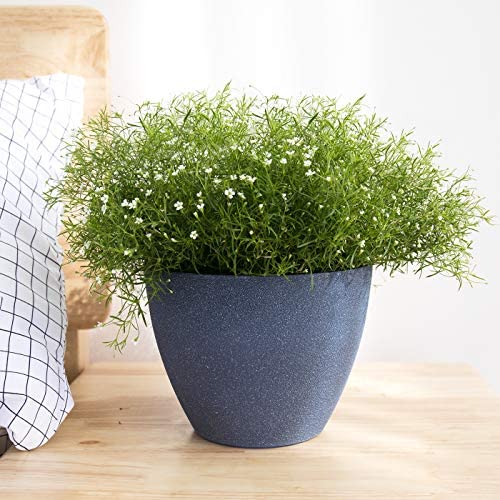 LA JOLIE MUSE Flower Pot Garden Planters Outdoor Indoor, Plant Containers with Drain Hole, Weathered Grey(19 CM, Pack 2) - Image 5