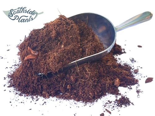 Southside Plants Loose Coco Coir - Made from 100% Organic Coconuts Garden Coir Substrate Plant Soil - Indoor Growing House Plants | Four qt - Image 5