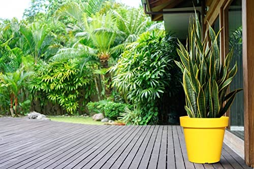Bright Coloured Plant Pots Extra Large Planters Yellow Plant Pot 50cm LARGE PLANTER NO Drainage Holes. But can be drilled - Image 5