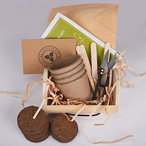 Grow Your Own Indoor Garden Seed Growing Kit Gardening Set Gardening Indoor Or Outdoor Pots Kids Gardening Set Easy For Novices To Grow 4 Plant Markers Pruner Scissors Trimmer Set Pulp Cup Pencil - Image 6
