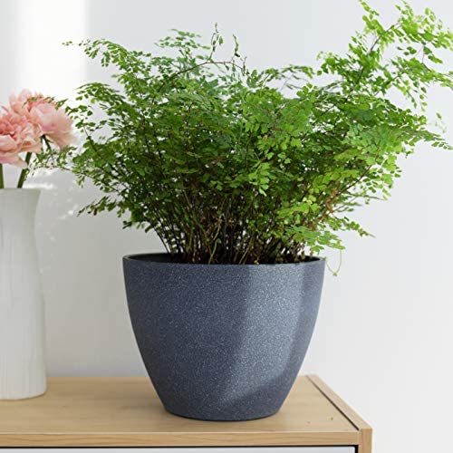 LA JOLIE MUSE Flower Pot Garden Planters Outdoor Indoor, Plant Containers with Drain Hole, Weathered Grey(19 CM, Pack 2) - Image 4