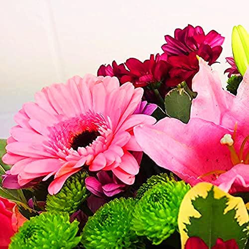 Pink Simplicity Hand Tied Fresh Flowers with Free Delivery, Fresh Flowers Delivered Next Day Prime Delivery, Flowers Fresh Bouquet, Perfect for Birthdays, Anniversaries and Thank You Gifts - Image 3