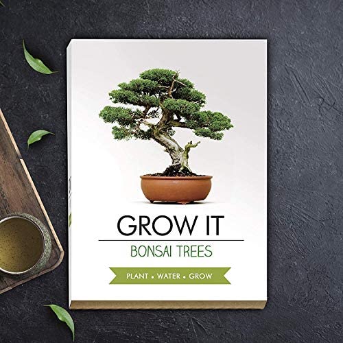 Gift Republic GR200006 : Grow It. Grow Your Own Bonsai Trees, 12.0 cm*12.0 cm*12.0 cm - Image 5