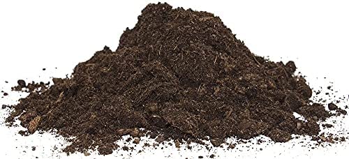 Floragard Active Green Plants & Palm Soil, 20 L (1 x 20 L) - Image 3