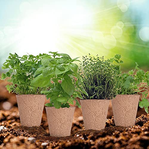 Grow Your Own Indoor Garden Seed Growing Kit Gardening Set Gardening Indoor Or Outdoor Pots Kids Gardening Set Easy For Novices To Grow 4 Plant Markers Pruner Scissors Trimmer Set Pulp Cup Pencil - Image 3