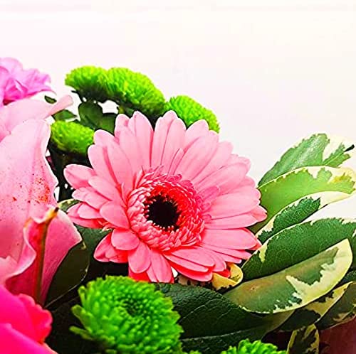 Pink Simplicity Hand Tied Fresh Flowers with Free Delivery, Fresh Flowers Delivered Next Day Prime Delivery, Flowers Fresh Bouquet, Perfect for Birthdays, Anniversaries and Thank You Gifts - Image 7
